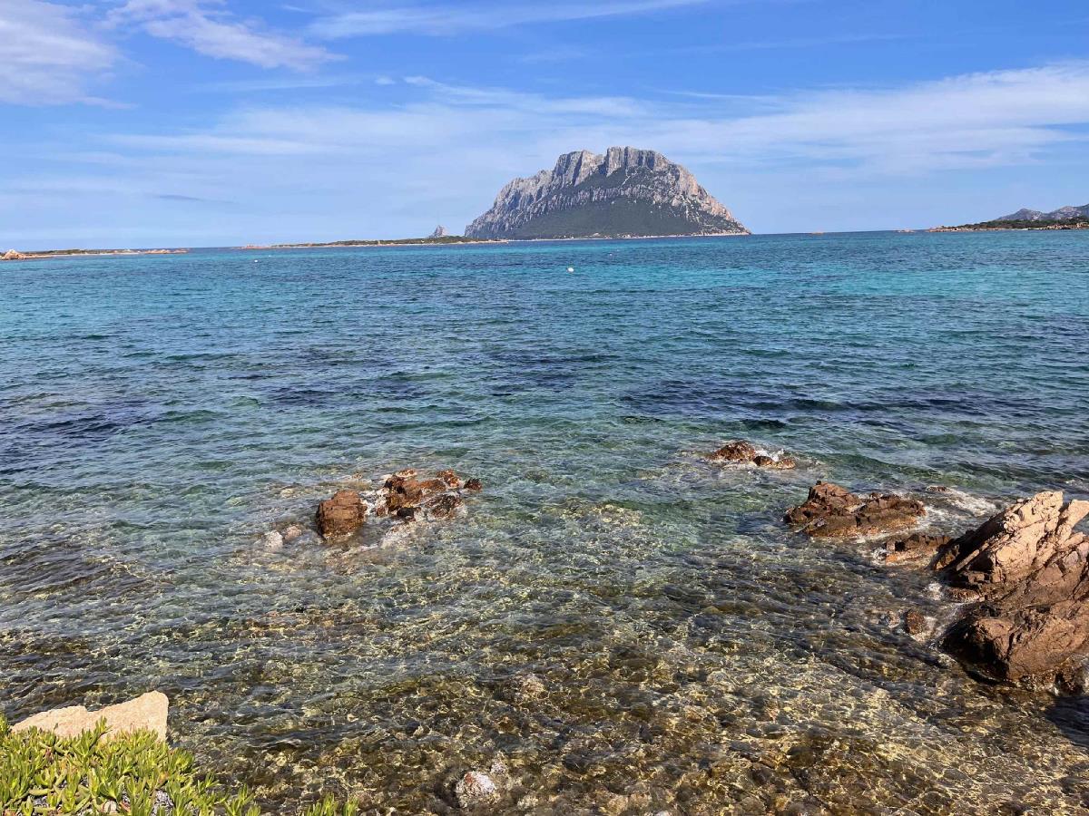 Einzelheiten malerei am meer Budoni Sardegna