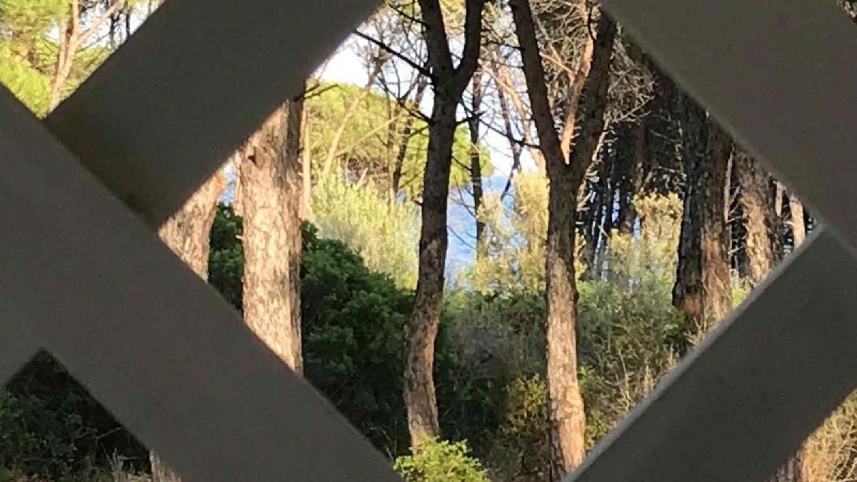  villetta sul  mare Budoni Sardegna