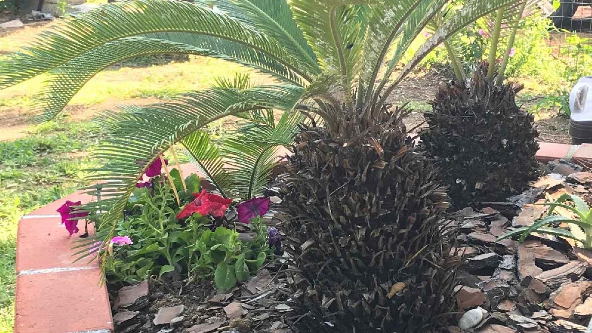  villetta sul  mare Budoni Sardegna