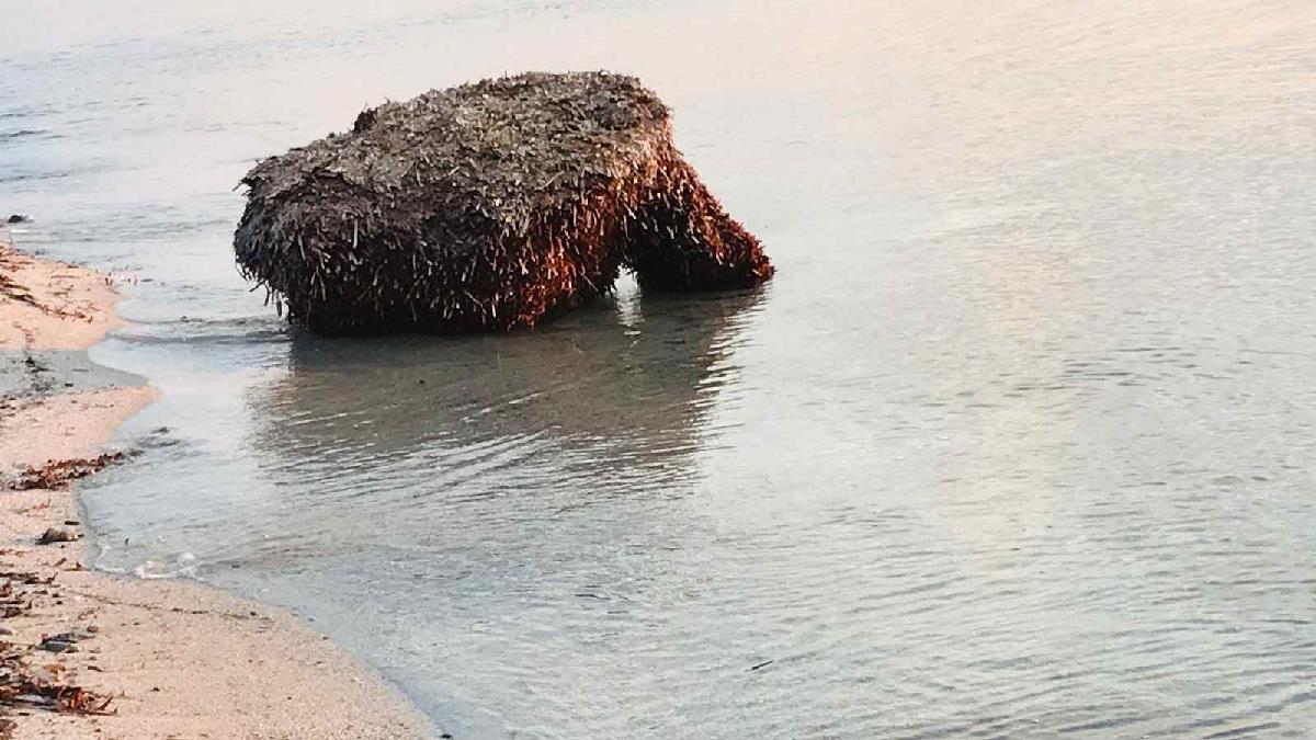  villetta sul  mare Budoni Sardegna