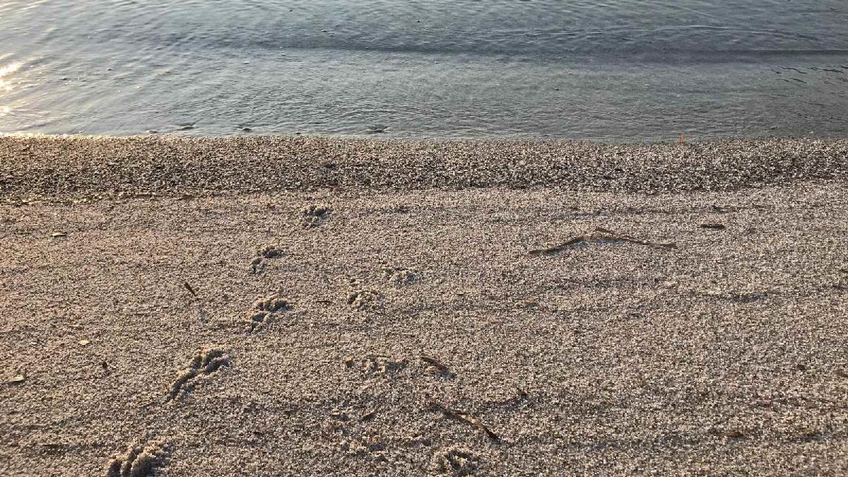  villetta sul  mare Budoni Sardegna