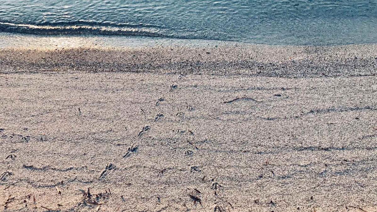  villetta sul  mare Budoni Sardegna