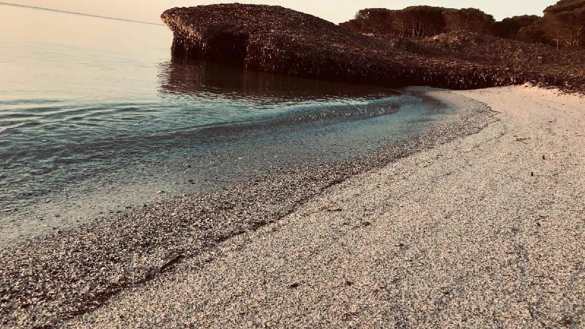  villetta sul  mare Budoni Sardegna