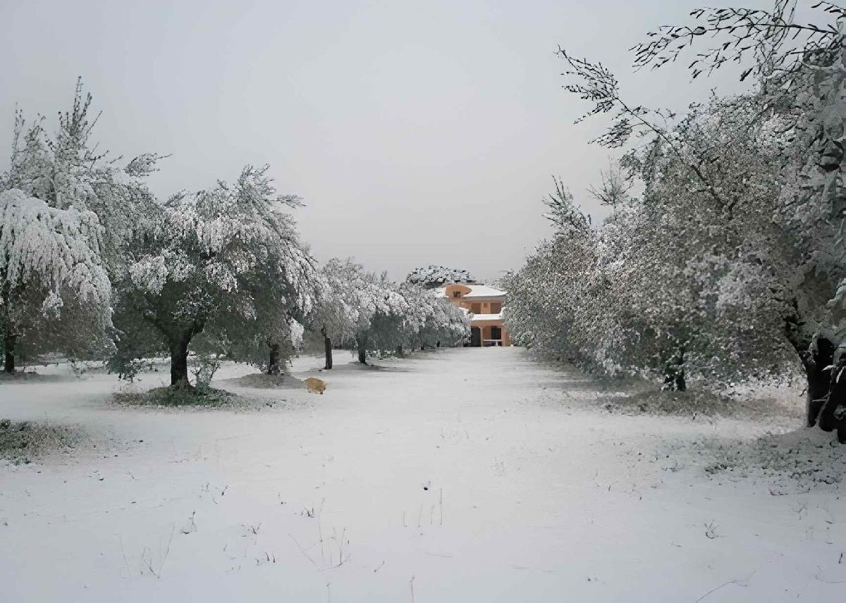 Giardino Villa Torricola Roma LAZIO